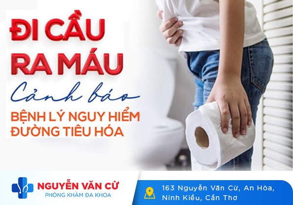 6 căn bệnh gây đi cầu ra máu và cách chữa
