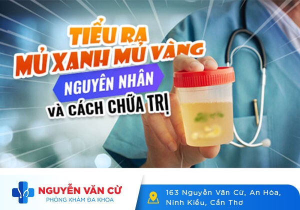 Đi Đái Ra Mủ Là Bị Bệnh Gì?