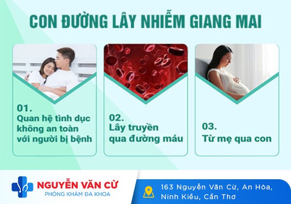 Nguyên Nhân Bệnh Giang Mai