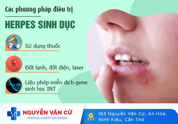 Hình ảnh và dấu hiệu mụn rộp sinh dục từng bộ phận trên cơ thể