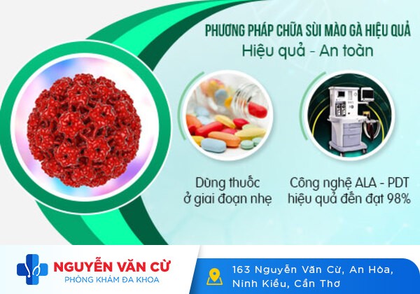 Thuốc chữa bệnh sùi mào gà có hiệu quả không?