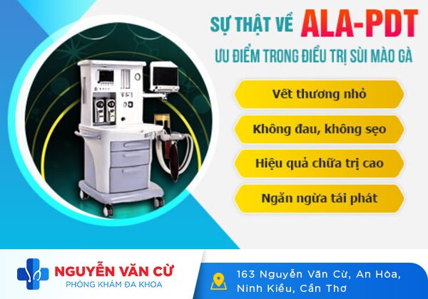 Cách Trị Bệnh Sùi Mào Gà Hiệu Quả Hiện Nay