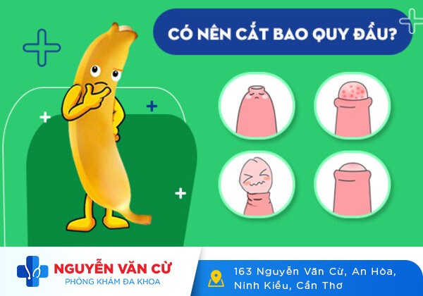 Dài Bao Quy Đầu Có Ảnh Hưởng Gì Không?