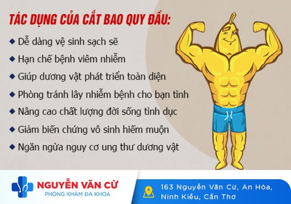 Tại sao phải cắt bao quy đầu?
