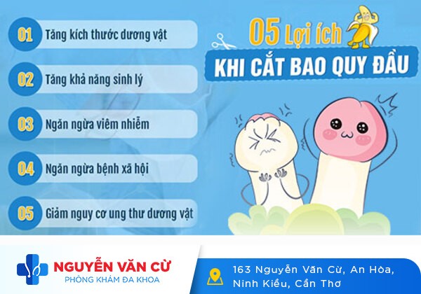 Cắt Bao Quy Đầu Để Làm Gì? Hình Ảnh Sau Khi Cắt Bao Quy Đầu Thế Nào?