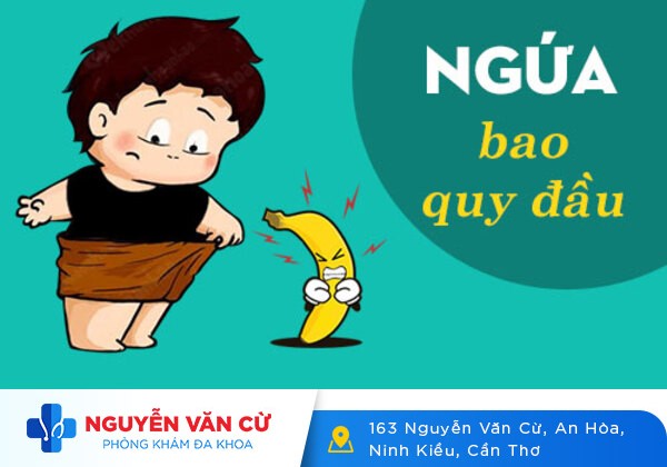 Ngứa bao quy đầu là bị bệnh gì? Có nguy hiểm không?