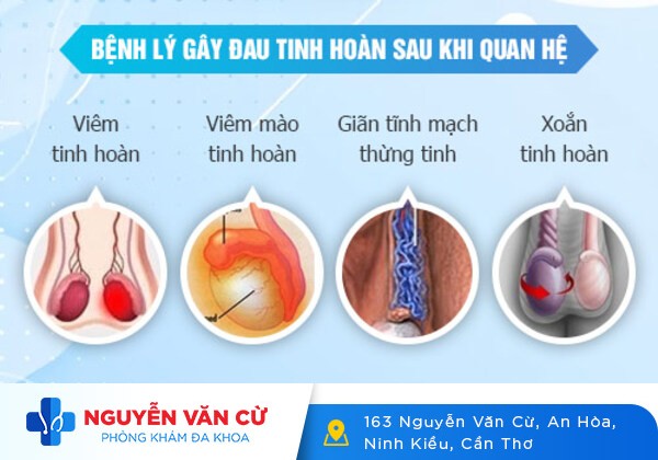 Chữa Đau Tinh Hoàn Tại Đa Khoa Nguyễn Văn Cừ