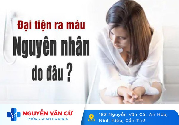 Đi cầu ra máu là dấu hiệu cảnh báo căn bệnh gì?