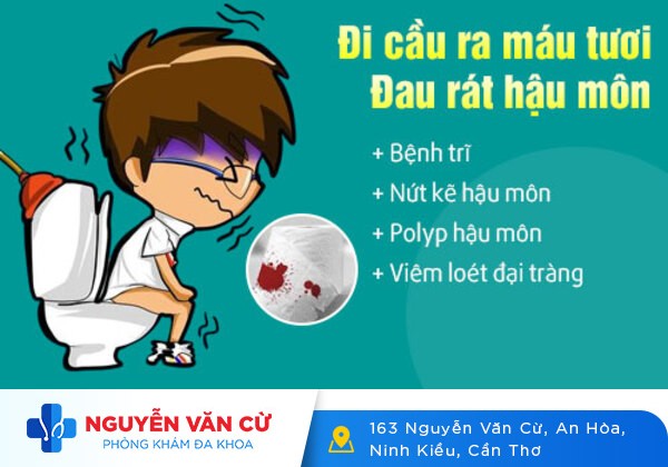Đi cầu ra máu khám ở đâu tốt?