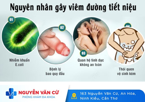 Dấu Hiệu Viêm Đường Tiểu Và Cách Điều Trị Hiệu Quả