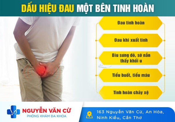 Bị Sưng Tinh Hoàn Bên Phải Có Sao Không?