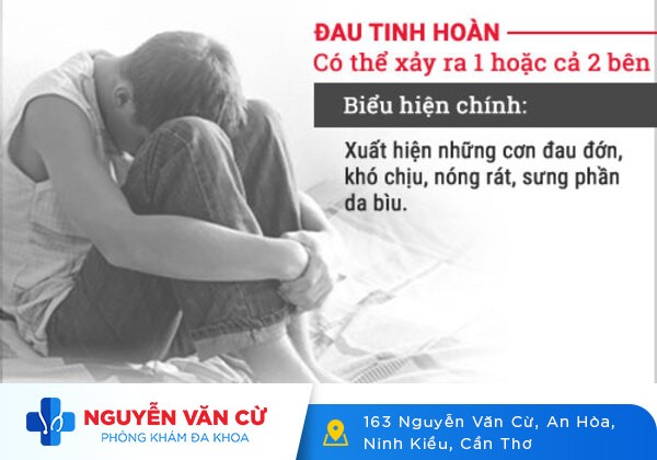 Chấn Thương Tinh Hoàn Phải Làm Sao?
