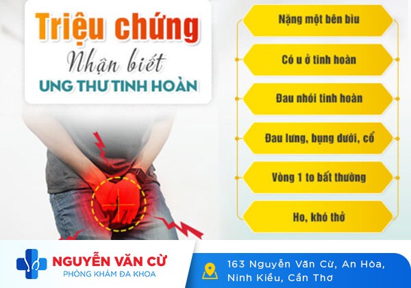 Sưng Tinh Hoàn 2 Bên Là Bệnh Gì?