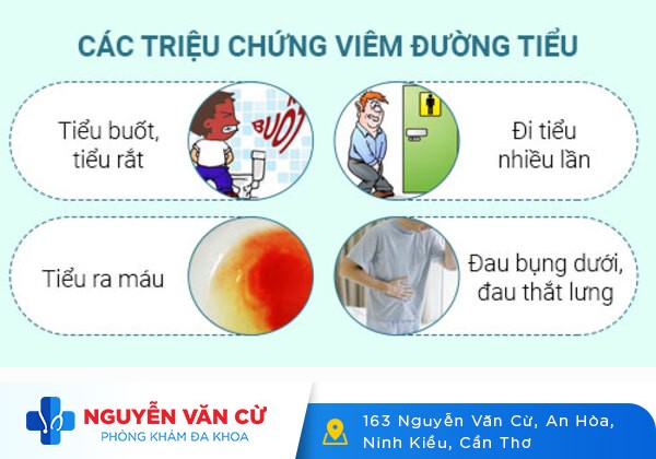 Tiểu đau rát ở nữ giới và những mối đe dọa nguy hiểm sức khỏe