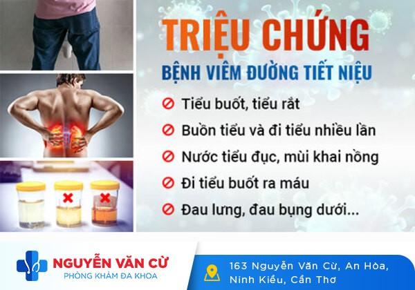 Nhận biết các triệu chứng viêm đường tiết niệu chính xác nhất