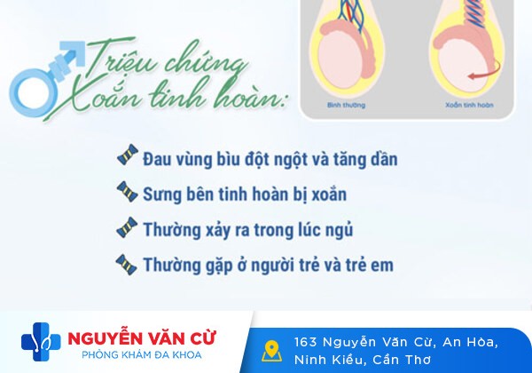 4 nguyên nhân khiến nam giới bị sưng tinh hoàn một bên