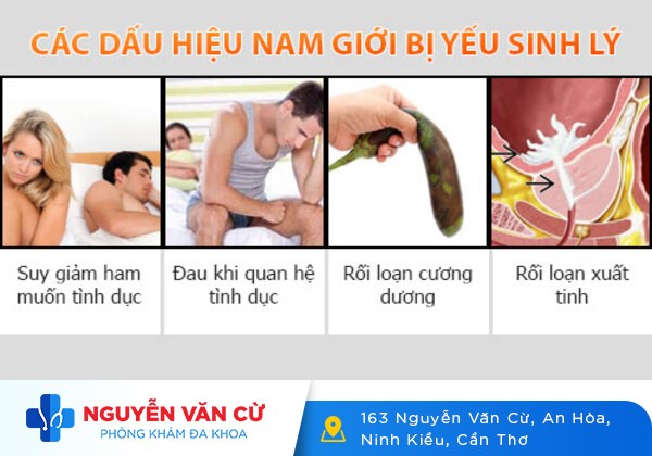 Yếu sinh lý là gì? Cách khắc phục yếu sinh lý hiệu quả