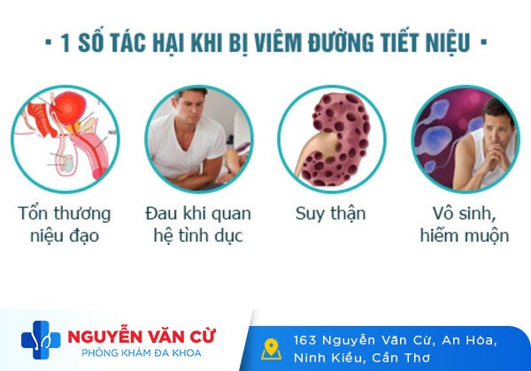 Viêm đường tiểu ở nam bệnh lý không nên xem nhẹ