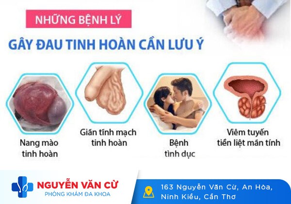 Đau tinh hoàn – sai lầm trong chẩn đoán có thể gây nguy hiểm