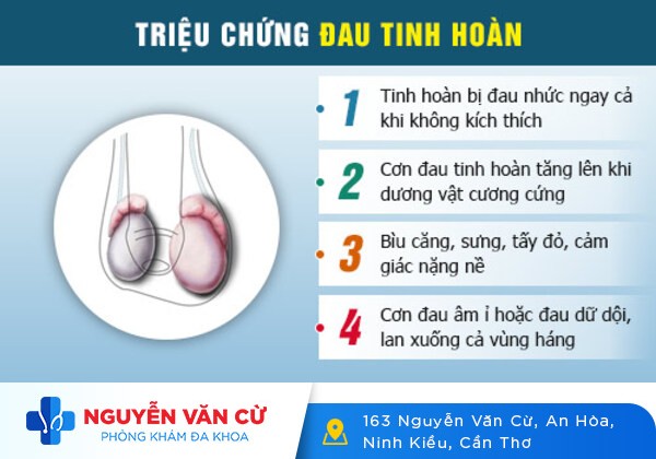 Bị Thốn Tinh Hoàn – Nguyên Nhân Do Đâu? Cách Điều Trị Như Thế Nào?