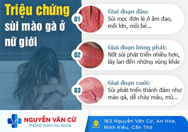 Âm Đạo Nổi Mụn Là Dấu Hiệu Của Bệnh Gì?