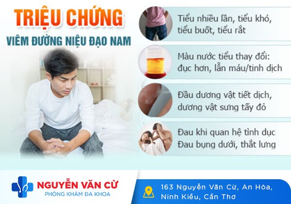 Viêm lỗ sáo là bệnh gì? Có nguy hiểm không?