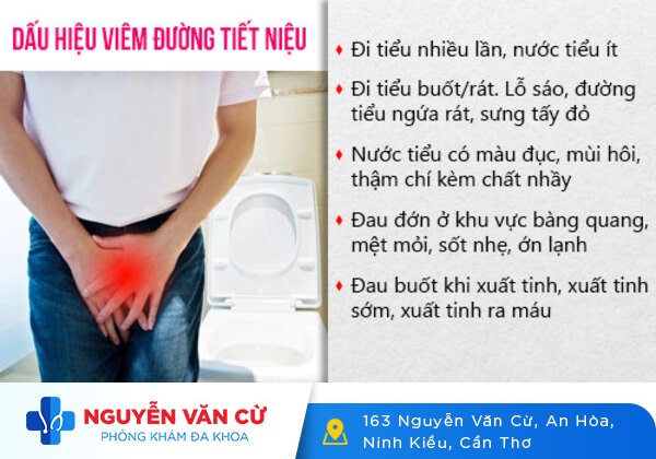 Dấu hiệu viêm đường tiểu nam và cách điều trị thật sự hiệu quả