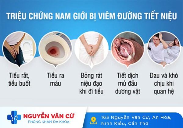 Triệu Chứng Nhận Biết Bệnh Viêm Đường Tiết Niệu Dễ Dàng