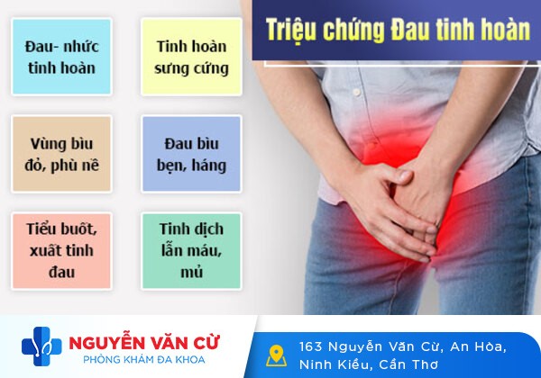 Đau 1 bên tinh hoàn, cẩn thận kẻo hoại tử tinh hoàn