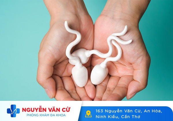 CẢNH BÁO! 35% Nam Giới Vô Sinh Hiếm Muộn Do Tinh Trùng Đặc, Tinh Trùng Vón Cục