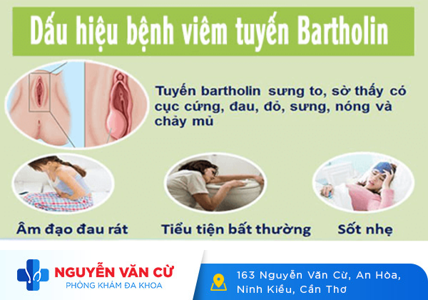 Sưng vùng kín là dấu hiệu của bệnh gì? Điều trị như thế nào?