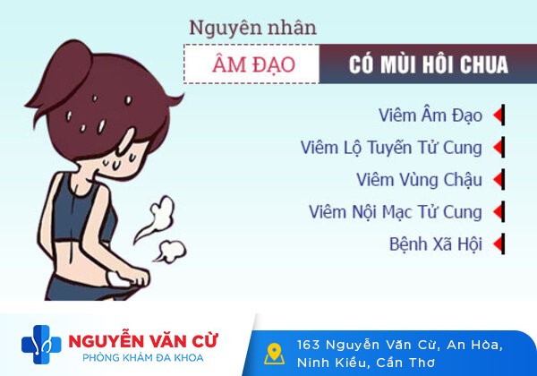 Âm Đạo Có Mùi Hôi – Mùi Bất Thường Và Những Hệ Lụy Đằng Sau