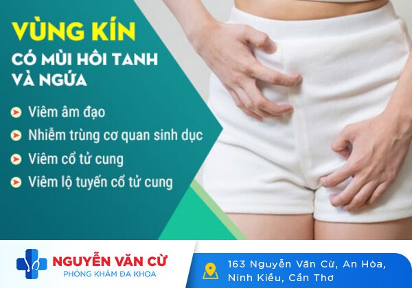 Hiện tượng hôi âm đạo ở nữ giới là dấu hiệu của bệnh gì?