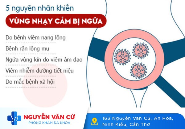 Chị Em Cần Cẩn Trọng Với Hiện Tượng Ngứa Cô Bé