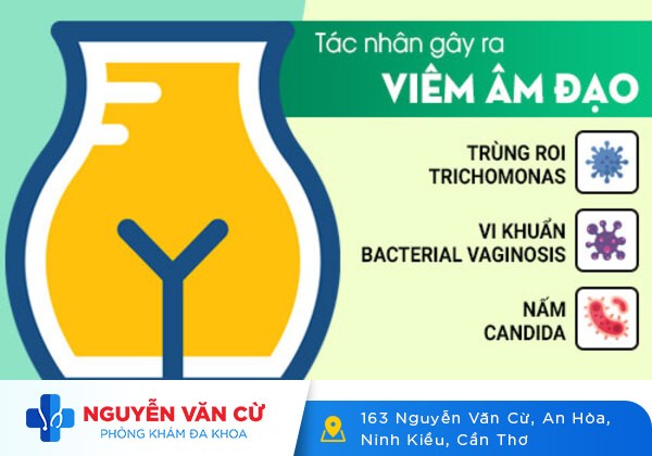 Dấu Hiệu Viêm Nhiễm Âm Đạo Ở Nữ