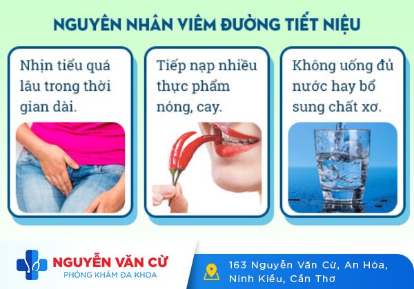Nhiễm trùng đường tiểu, bệnh dễ gặp nhưng biến chứng khó lường