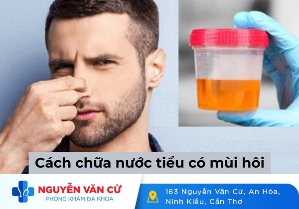 Nước tiểu có mùi hôi là do đâu?