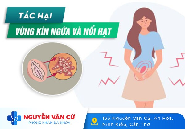 Vùng Kín Bị Ngứa Và Nổi Hạt