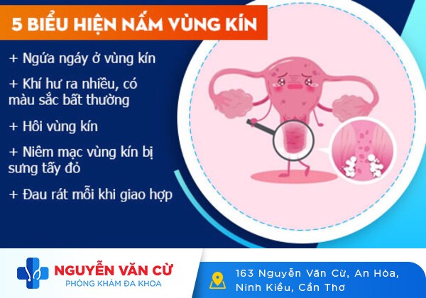 Tìm hiểu bệnh nấm vùng kín và cách chữa bệnh