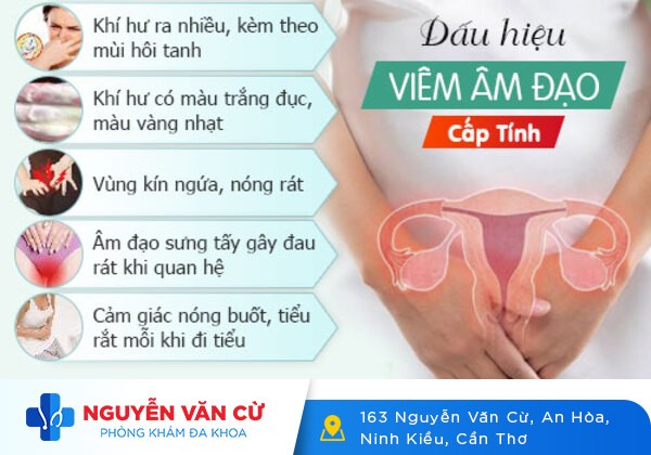 Cách điều trị viêm âm đạo hiệu quả giảm khả năng tái phát