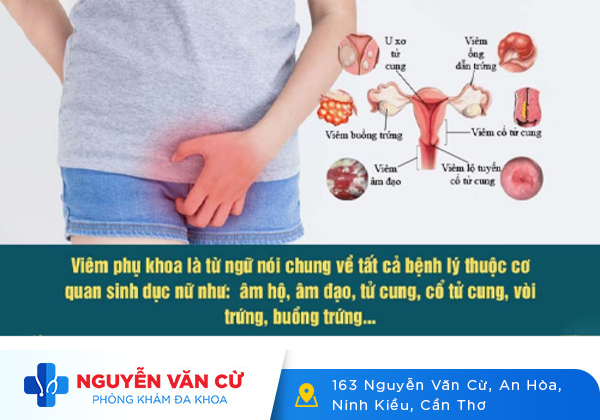Viêm ngứa vùng kín nữ giới là như thế nào?